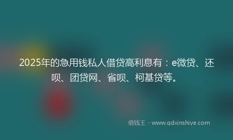 2025年的急用钱私人借贷高利息有：e微贷、还呗、团贷网、省呗、柯基贷等。