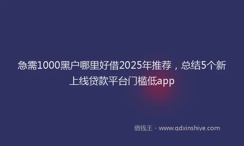 急需1000黑户哪里好借2025年推荐，总结5个新上线贷款平台门槛低app