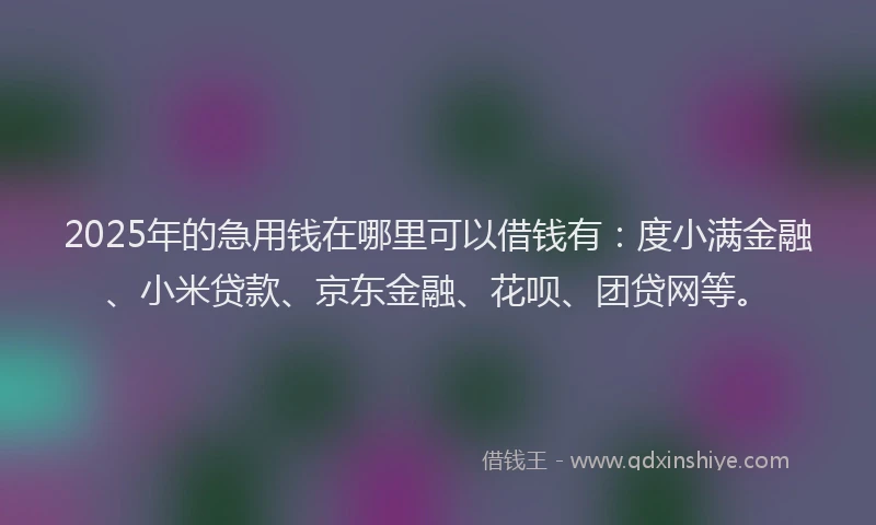 2025年的急用钱在哪里可以借钱有：度小满金融、小米贷款、京东金融、花呗、团贷网等。