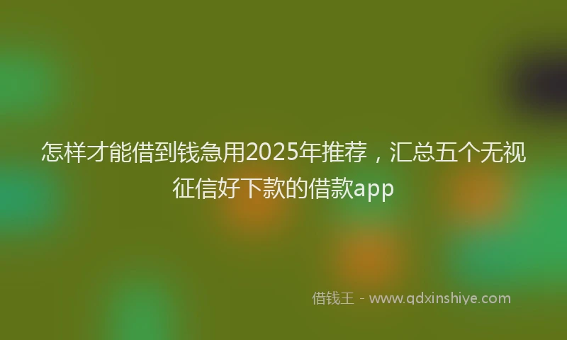 怎样才能借到钱急用2025年推荐，汇总五个无视征信好下款的借款app