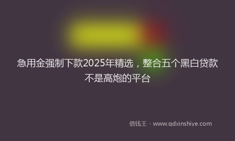 急用金强制下款2025年精选，整合五个黑白贷款不是高炮的平台
