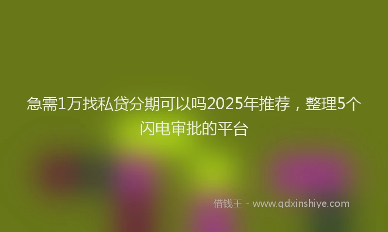 急需1万找私贷分期可以吗2025年推荐，整理5个闪电审批的平台