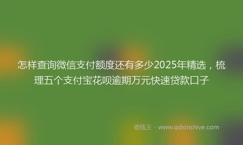 怎样查询微信支付额度还有多少2025年精选，梳理五个支付宝花呗逾期万元快速贷款口子