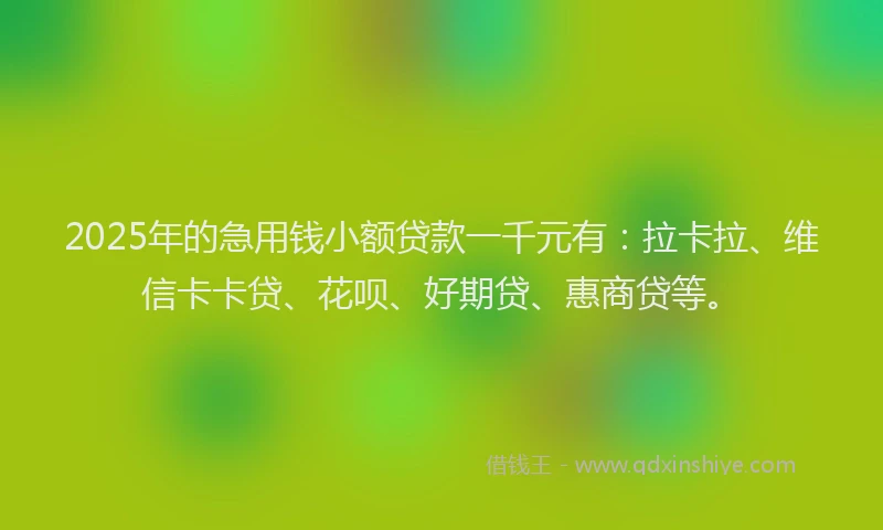 2025年的急用钱小额贷款一千元有：拉卡拉、维信卡卡贷、花呗、好期贷、惠商贷等。