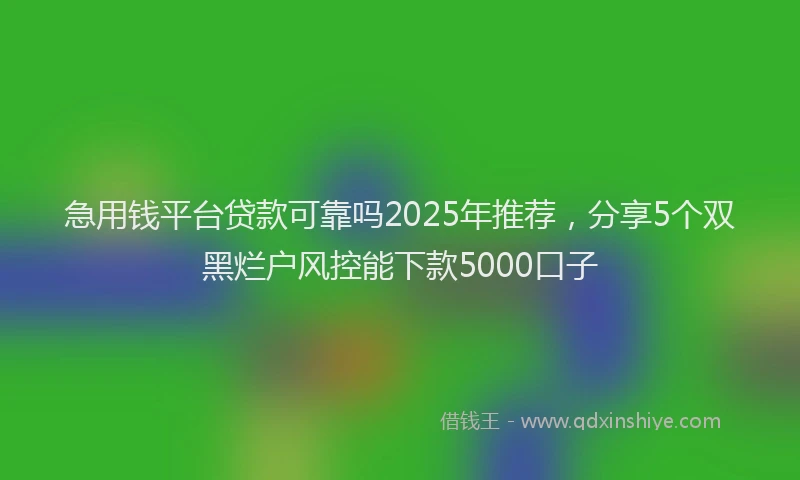 急用钱平台贷款可靠吗2025年推荐，分享5个双黑烂户风控能下款5000口子