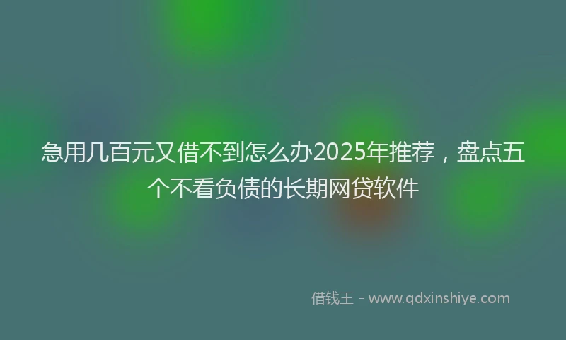 急用几百元又借不到怎么办2025年推荐，盘点五个不看负债的长期网贷软件