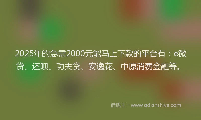 2025年的急需2000元能马上下款的平台有：e微贷、还呗、功夫贷、安逸花、中原消费金融等。