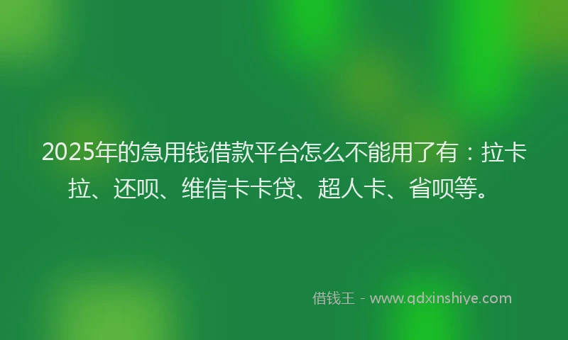2025年的急用钱借款平台怎么不能用了有：拉卡拉、还呗、维信卡卡贷、超人卡、省呗等。