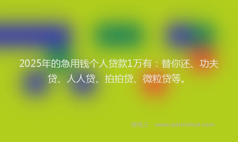 2025年的急用钱个人贷款1万有：替你还、功夫贷、人人贷、拍拍贷、微粒贷等。