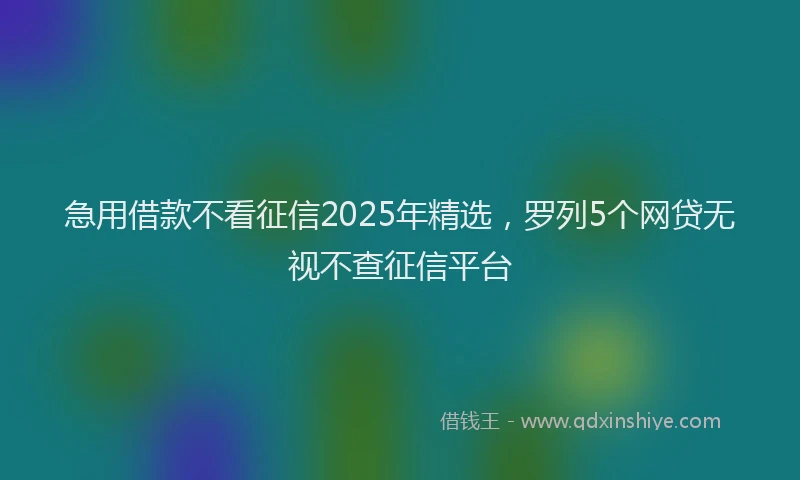 急用借款不看征信2025年精选，罗列5个网贷无视不查征信平台