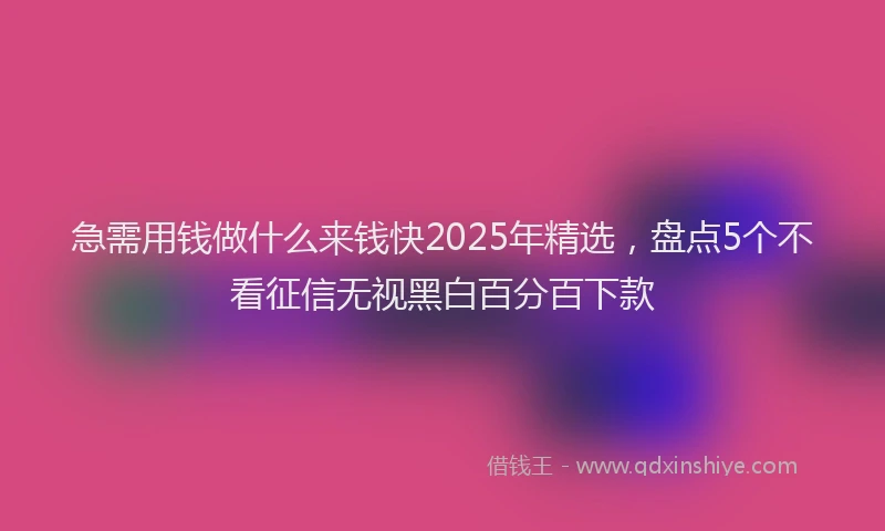 急需用钱做什么来钱快2025年精选，盘点5个不看征信无视黑白百分百下款
