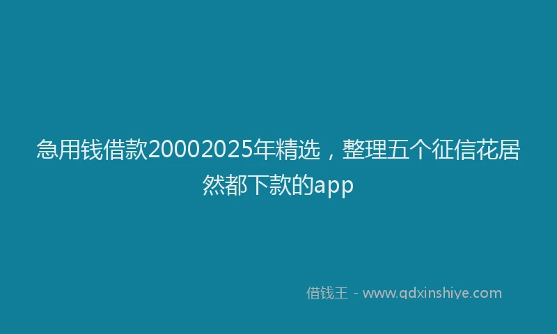 急用钱借款20002025年精选，整理五个征信花居然都下款的app