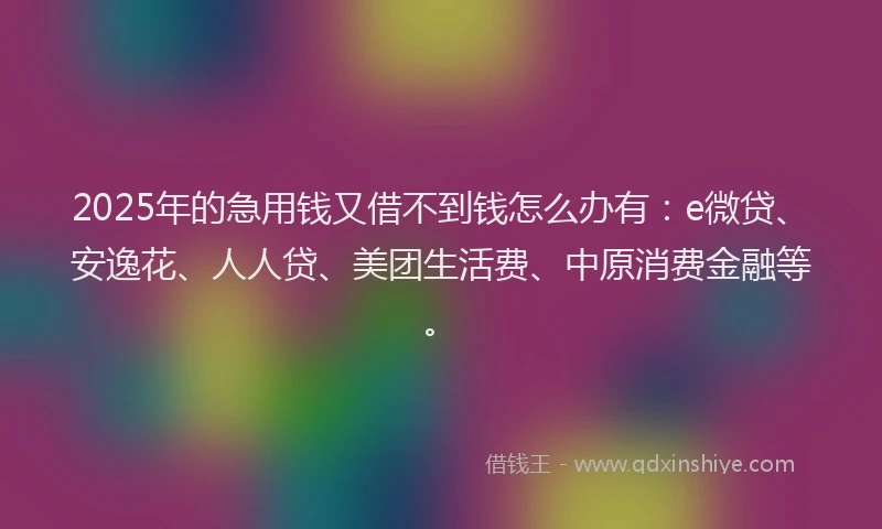 2025年的急用钱又借不到钱怎么办有：e微贷、安逸花、人人贷、美团生活费、中原消费金融等。