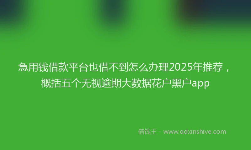 急用钱借款平台也借不到怎么办理2025年推荐，概括五个无视逾期大数据花户黑户app