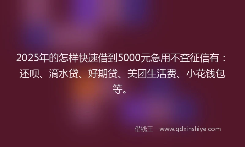 2025年的怎样快速借到5000元急用不查征信有：还呗、滴水贷、好期贷、美团生活费、小花钱包等。