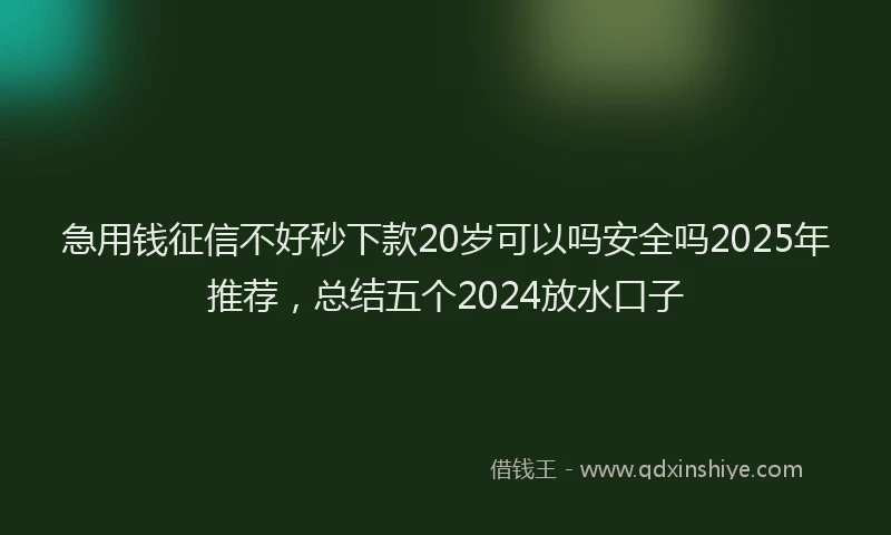 急用钱征信不好秒下款20岁可以吗安全吗2025年推荐，总结五个2024放水口子