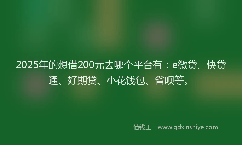 2025年的想借200元去哪个平台有：e微贷、快贷通、好期贷、小花钱包、省呗等。