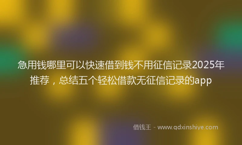 急用钱哪里可以快速借到钱不用征信记录2025年推荐，总结五个轻松借款无征信记录的app