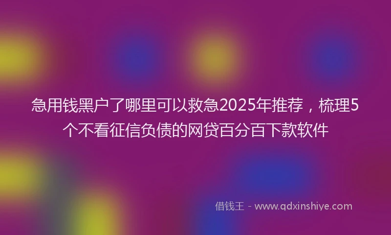 急用钱黑户了哪里可以救急2025年推荐，梳理5个不看征信负债的网贷百分百下款软件