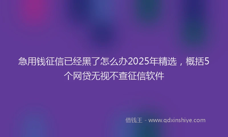 急用钱征信已经黑了怎么办2025年精选，概括5个网贷无视不查征信软件