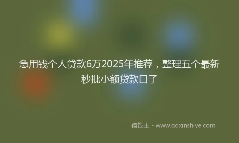 急用钱个人贷款6万2025年推荐，整理五个最新秒批小额贷款口子
