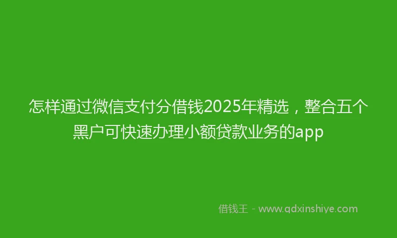 怎样通过微信支付分借钱2025年精选，整合五个黑户可快速办理小额贷款业务的app