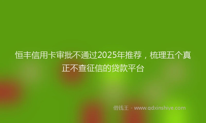 恒丰信用卡审批不通过2025年推荐，梳理五个真正不查征信的贷款平台