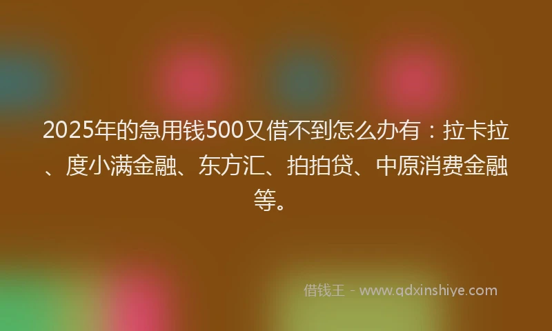 2025年的急用钱500又借不到怎么办有：拉卡拉、度小满金融、东方汇、拍拍贷、中原消费金融等。