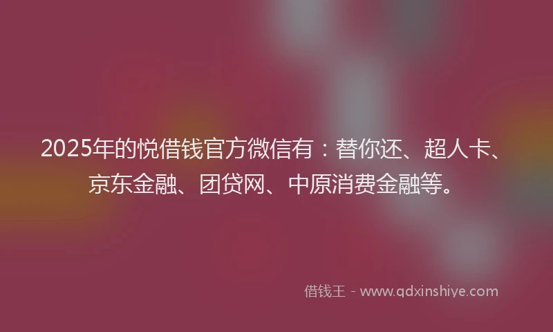 2025年的悦借钱官方微信有：替你还、超人卡、京东金融、团贷网、中原消费金融等。