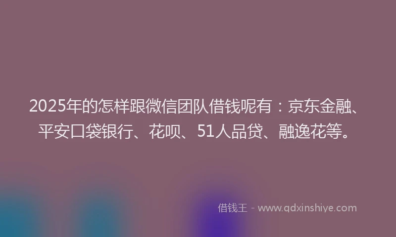 2025年的怎样跟微信团队借钱呢有：京东金融、平安口袋银行、花呗、51人品贷、融逸花等。