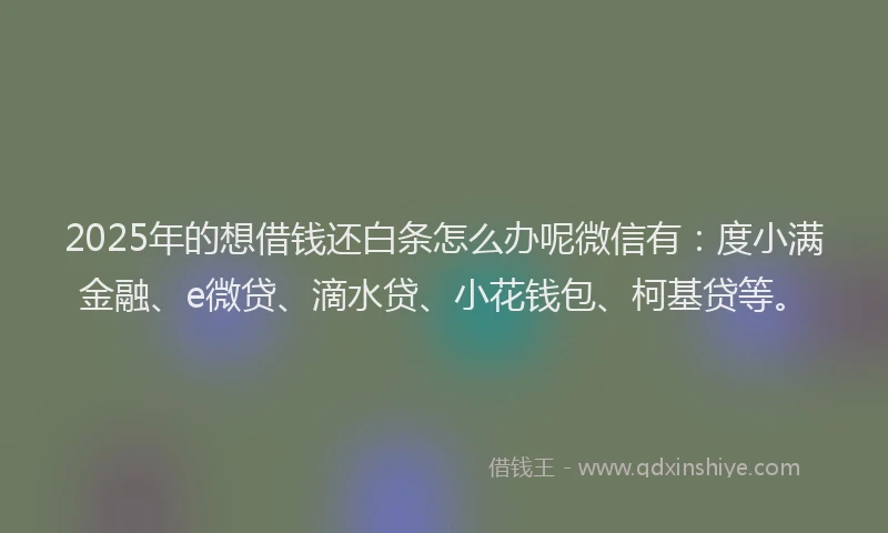 2025年的想借钱还白条怎么办呢微信有：度小满金融、e微贷、滴水贷、小花钱包、柯基贷等。