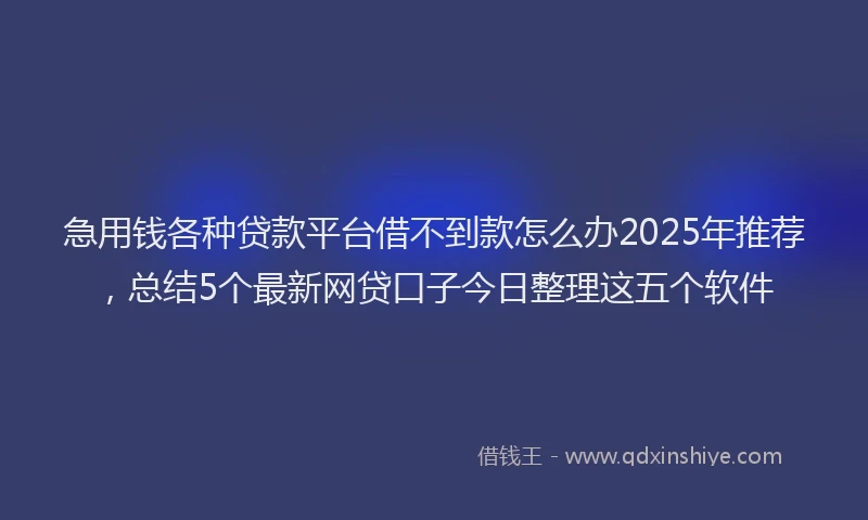 急用钱各种贷款平台借不到款怎么办2025年推荐，总结5个最新网贷口子今日整理这五个软件