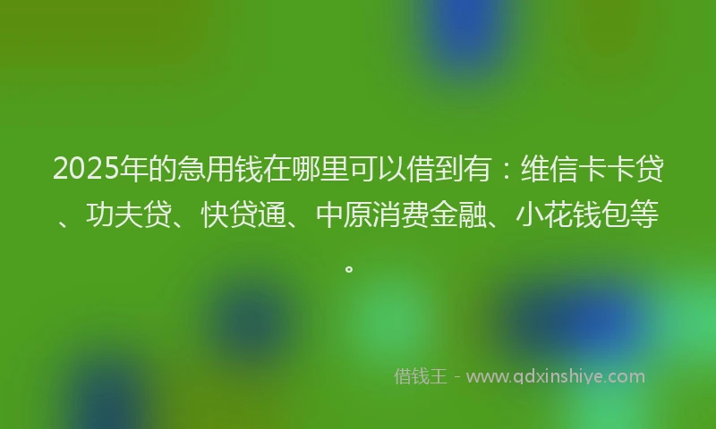 2025年的急用钱在哪里可以借到有：维信卡卡贷、功夫贷、快贷通、中原消费金融、小花钱包等。