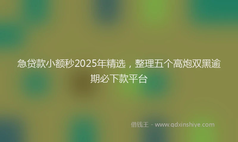 急贷款小额秒2025年精选，整理五个高炮双黑逾期必下款平台