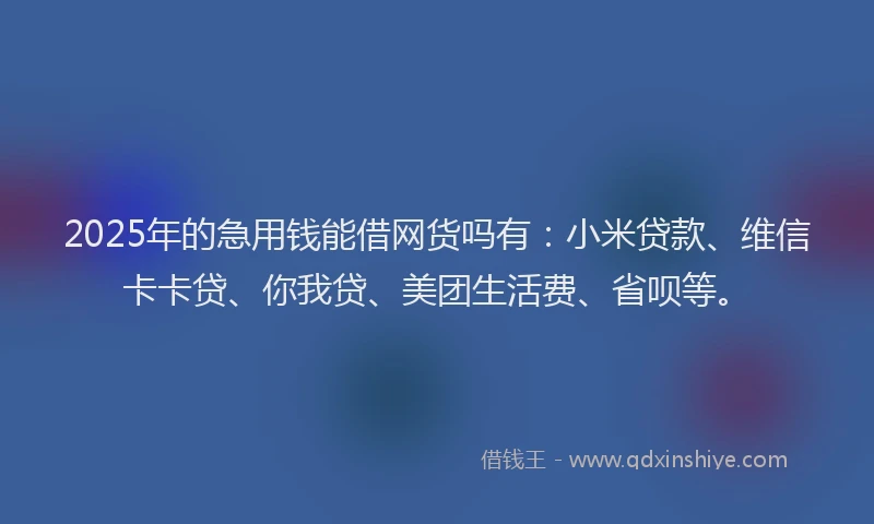 2025年的急用钱能借网货吗有：小米贷款、维信卡卡贷、你我贷、美团生活费、省呗等。