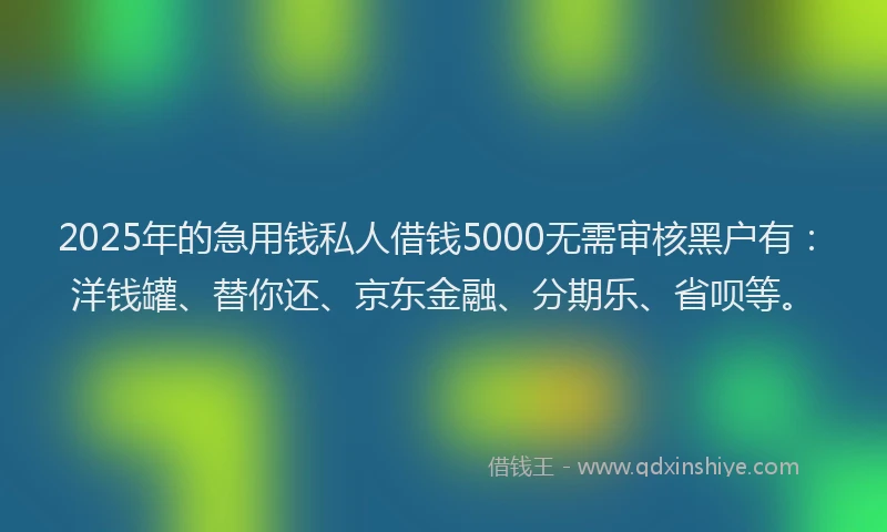 2025年的急用钱私人借钱5000无需审核黑户有：洋钱罐、替你还、京东金融、分期乐、省呗等。