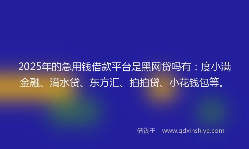 2025年的急用钱借款平台是黑网贷吗有:度小满金融、滴水贷、东方汇、拍拍贷、小花钱包等。