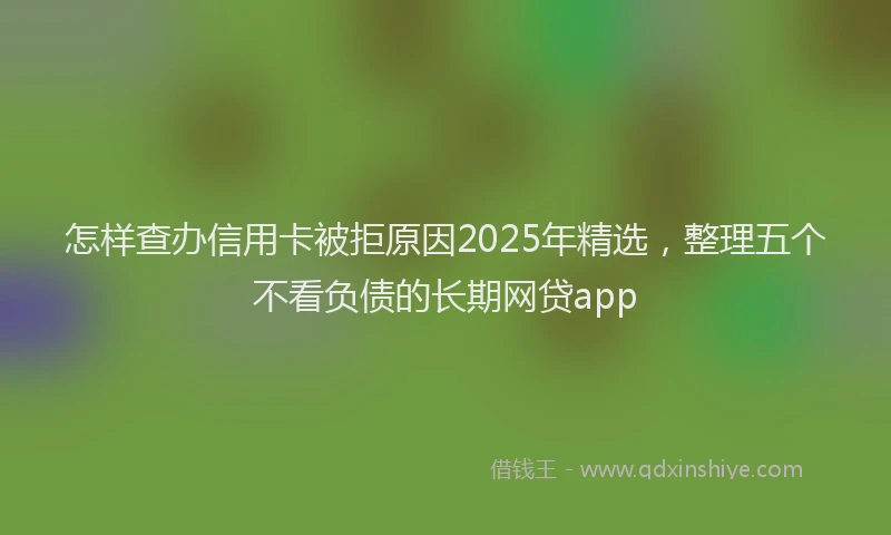 怎样查办信用卡被拒原因2025年精选，整理五个不看负债的长期网贷app