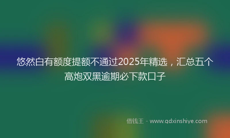 悠然白有额度提额不通过2025年精选，汇总五个高炮双黑逾期必下款口子