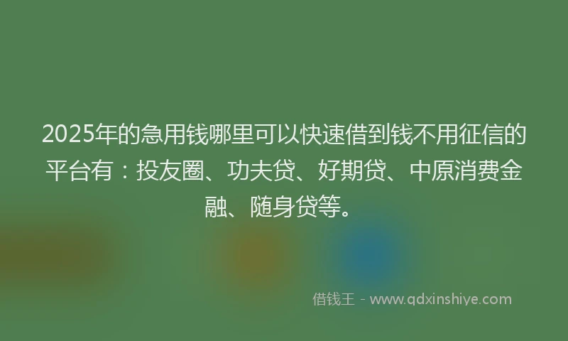 2025年的急用钱哪里可以快速借到钱不用征信的平台有：投友圈、功夫贷、好期贷、中原消费金融、随身贷等。
