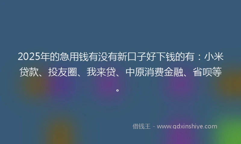 2025年的急用钱有没有新口子好下钱的有：小米贷款、投友圈、我来贷、中原消费金融、省呗等。
