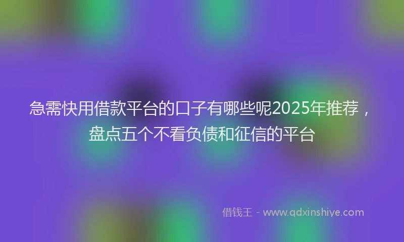 急需快用借款平台的口子有哪些呢2025年推荐，盘点五个不看负债和征信的平台