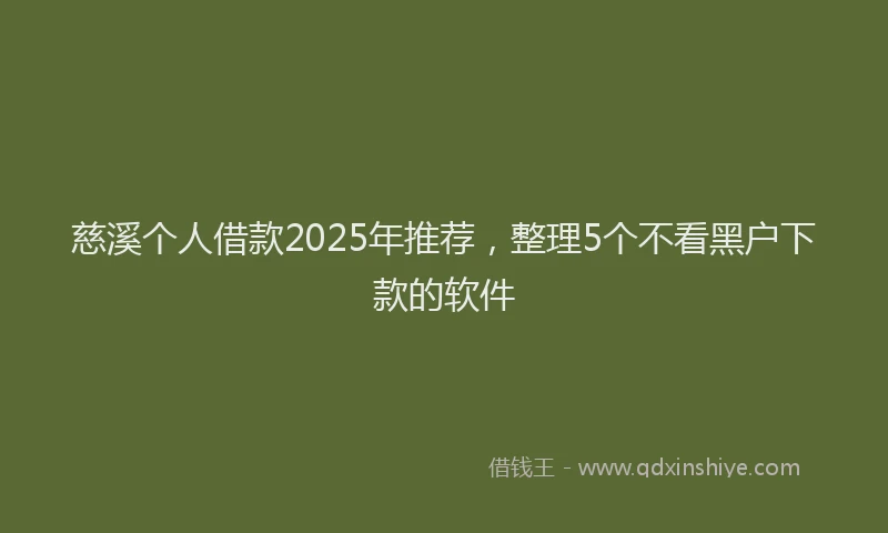 慈溪个人借款2025年推荐，整理5个不看黑户下款的软件