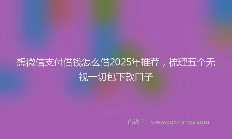 想微信支付借钱怎么借2025年推荐，梳理五个无视一切包下款口子