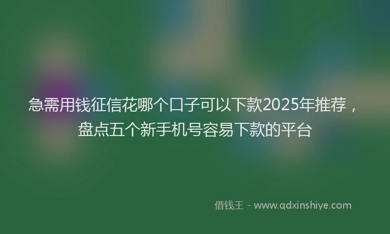 急需用钱征信花哪个口子可以下款2025年推荐，盘点五个新手机号容易下款的平台