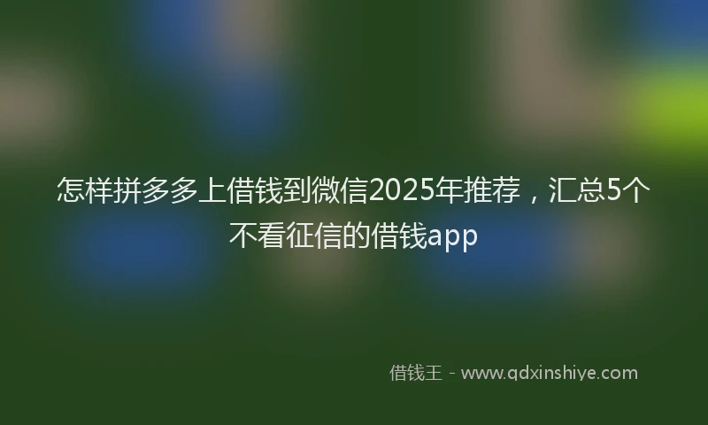 怎样拼多多上借钱到微信2025年推荐，汇总5个不看征信的借钱app