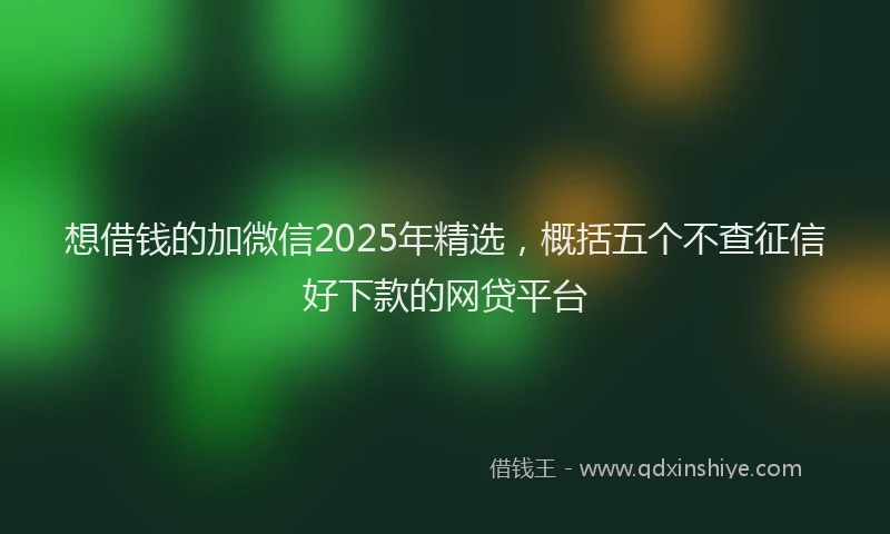 想借钱的加微信2025年精选，概括五个不查征信好下款的网贷平台