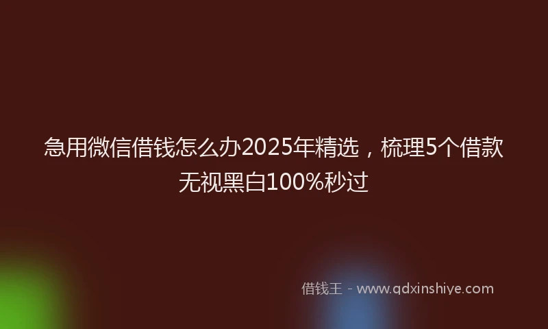 急用微信借钱怎么办2025年精选，梳理5个借款无视黑白100%秒过