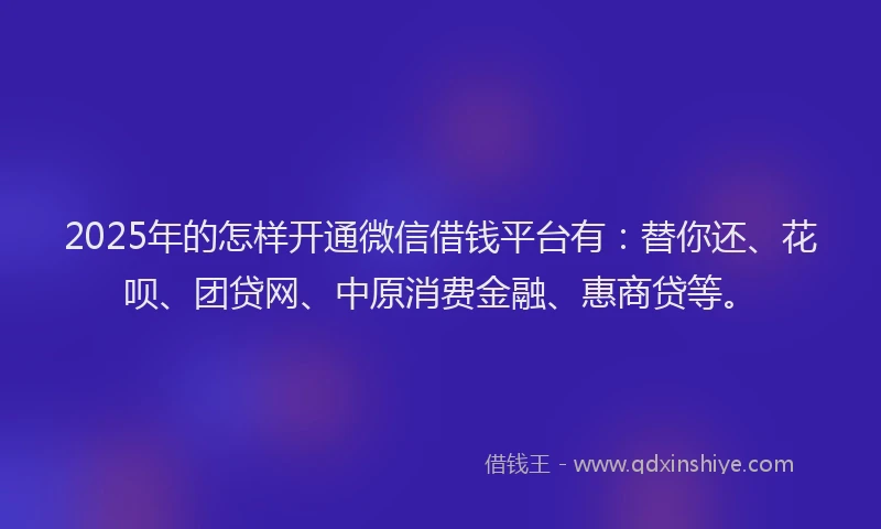 2025年的怎样开通微信借钱平台有：替你还、花呗、团贷网、中原消费金融、惠商贷等。