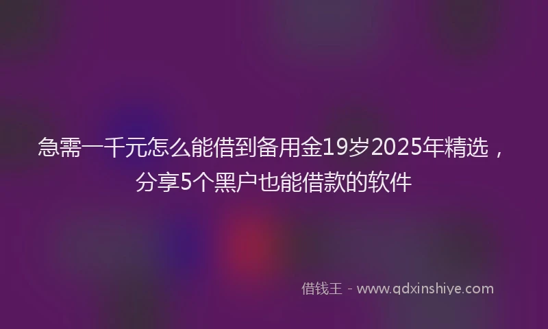 急需一千元怎么能借到备用金19岁2025年精选，分享5个黑户也能借款的软件